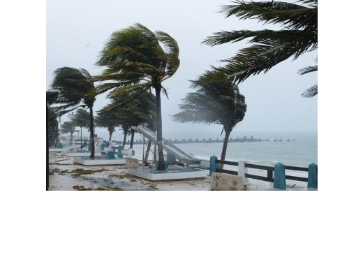 मेलिसा तूफान से कैरेबियाई देशों में तबाही, संयुक्त राष्ट्र ने शुरू किया बड़ा राहत अभियान